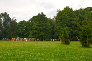 DSC_3821