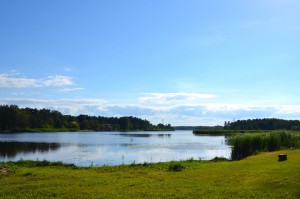 DSC_3895